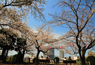 fukuoka of sightseeing