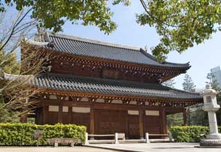 Landmark in Fukuoka